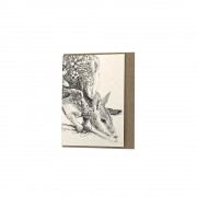 Mini Greeting Card - Bridled Nail-Tail Wallaby